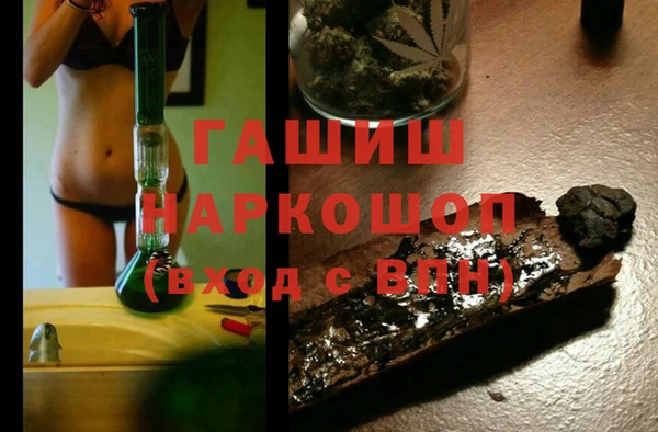 сатива Армянск