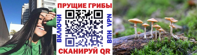 Галлюциногенные грибы GOLDEN TEACHER  Кулебаки 
